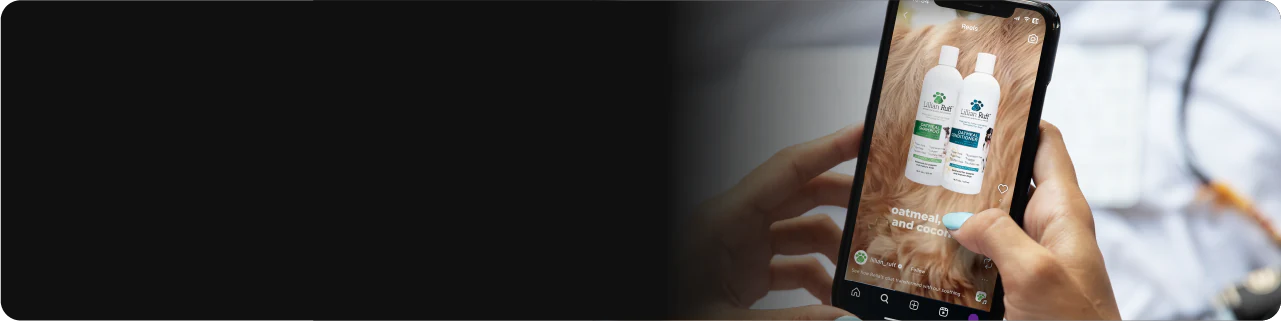 Digital Marketing Strategy 